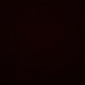 Meet your Posher, Celina